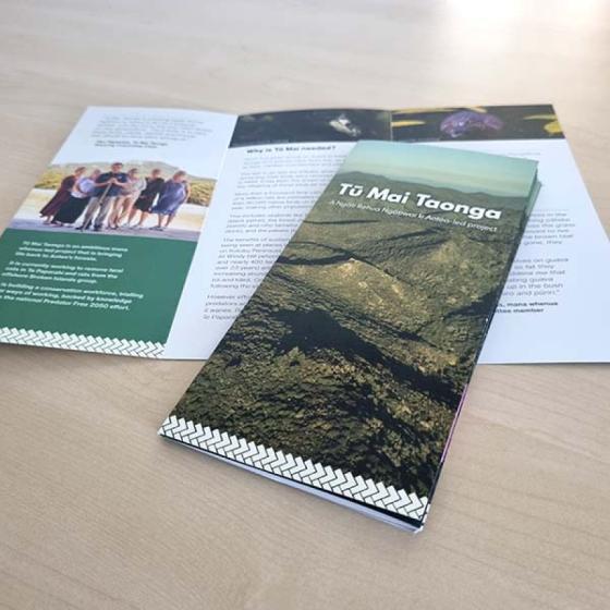 A4 to DL TriFold Brochure